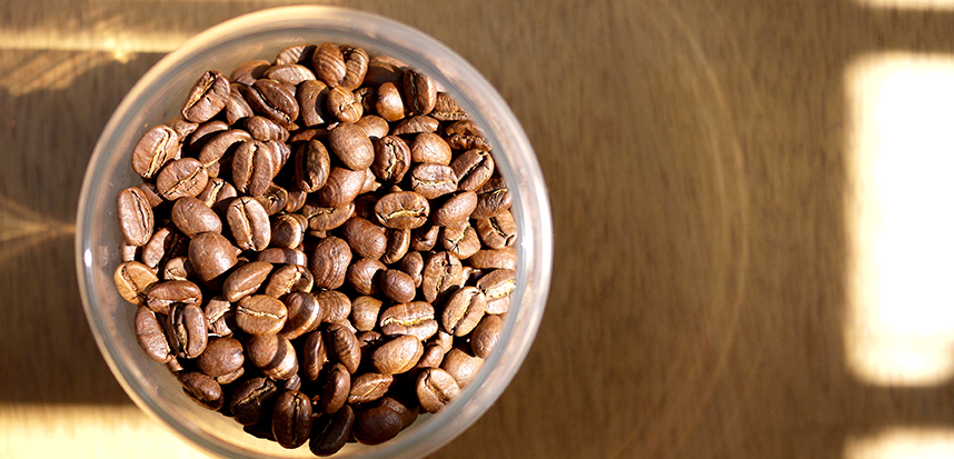 肯亞AA咖啡豆