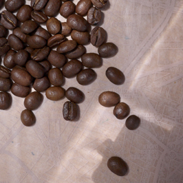 咖啡豆蘇門答臘